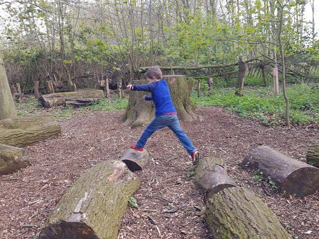 jumping logs on the woodland walk at Upton House