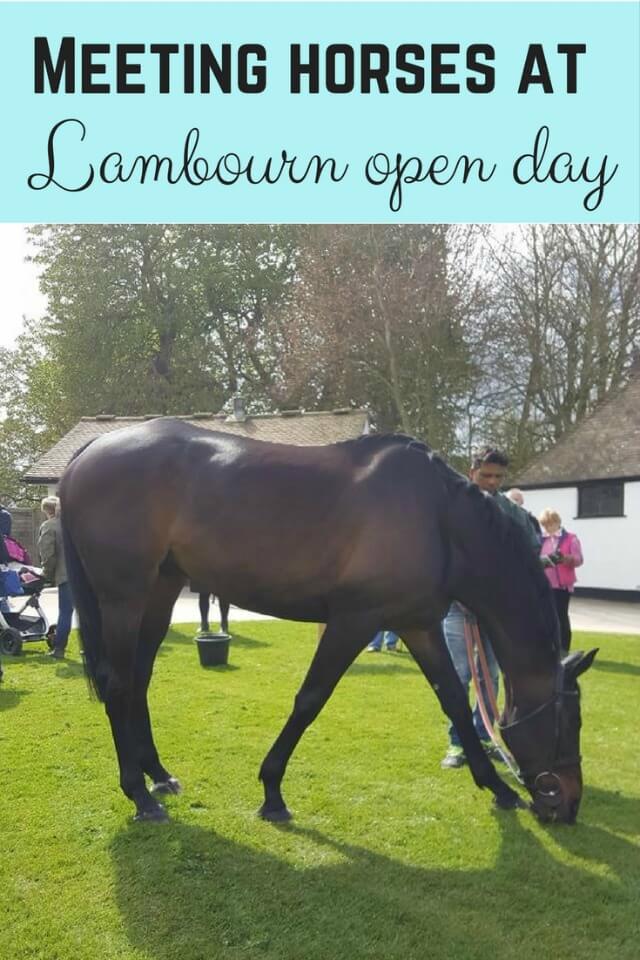Meeting horses at Lambourn open day - Bubbablue and me