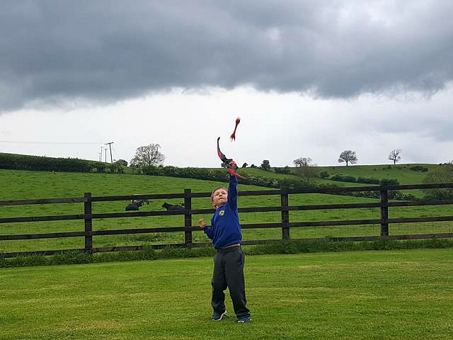 My Sunday Photo - shooting arrows