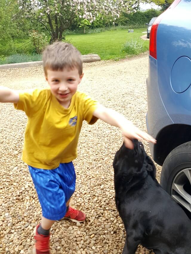 excitement getting home with the dog