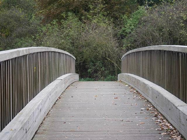 wooden bridge