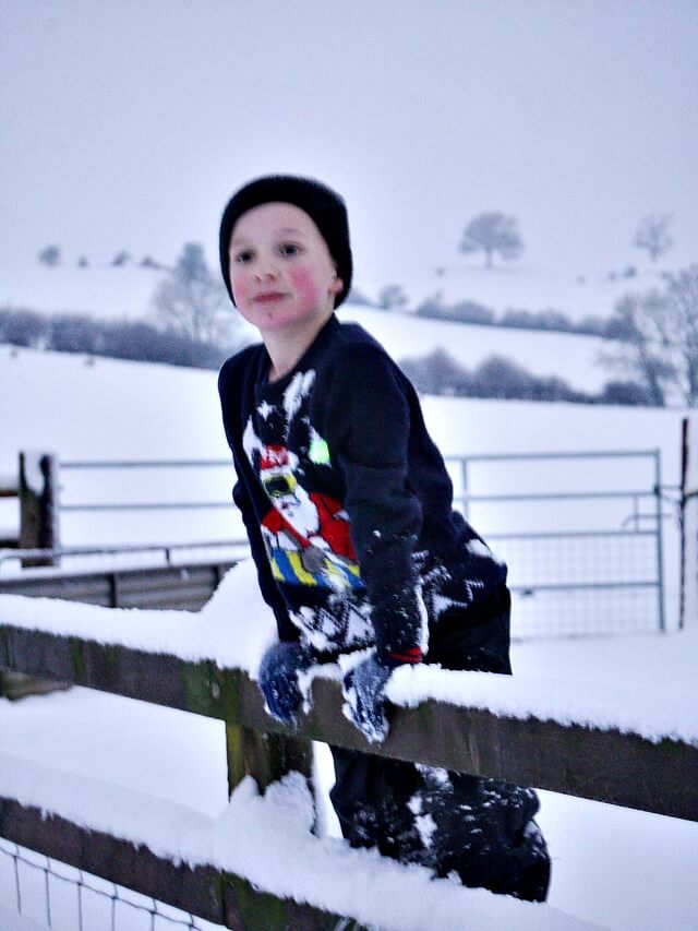 climbing the snowy fence