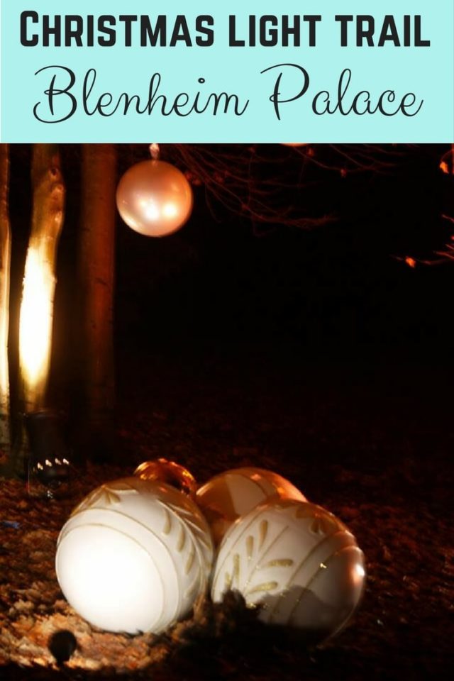 Blenheim Palace Christmas light trail - Bubbablue and me