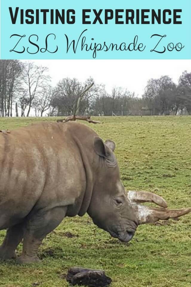 day out at ZSL Whipsande Zoo - bubbablue and me