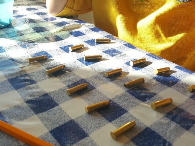 division with bullet cases