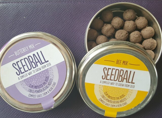 prezzybox flower seedballs