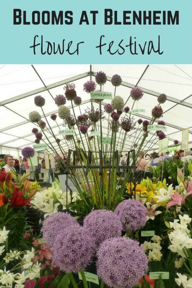 Blenheim flower festival - Bubbablue and me