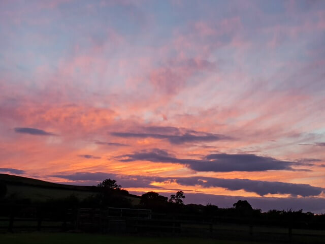 pink and lilac sunset