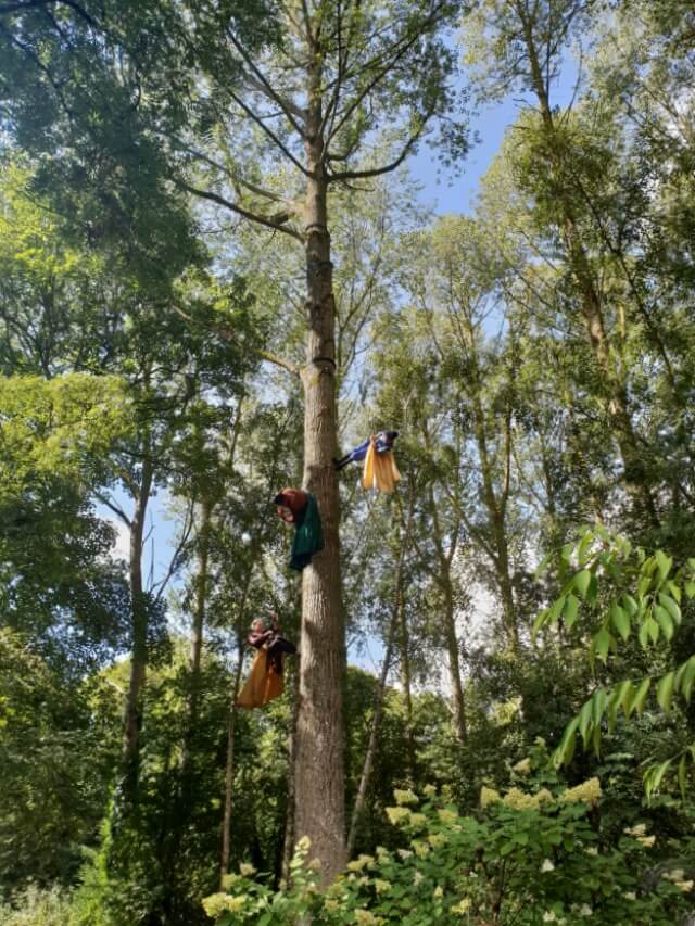 dryads up the trees in evenley wood garden
