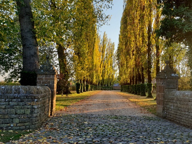 autumn glow in tree lined driveway