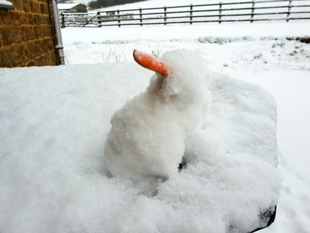 mini snowman