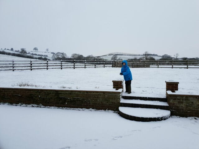 playing in the snow