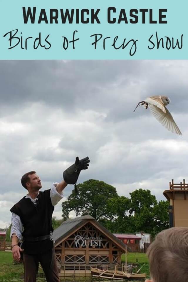 Warwick castle falconers quest - Bubbablue and me
