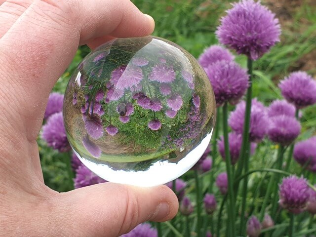 https://bubbablueandme.com/wp-content/uploads/2019/06/cloves-through-a-lensball.jpg