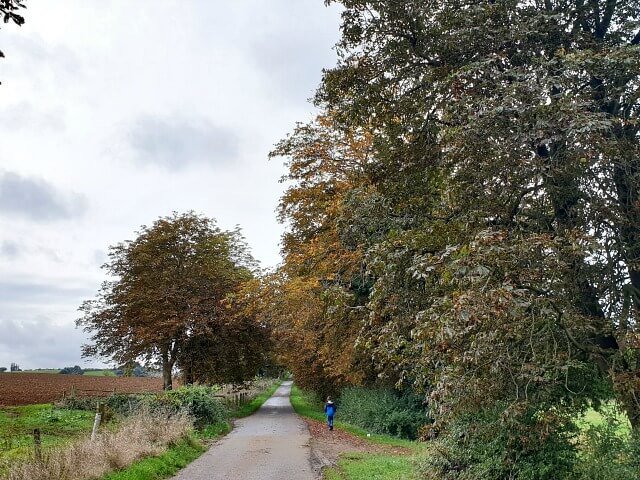 Walking down Conker Alley