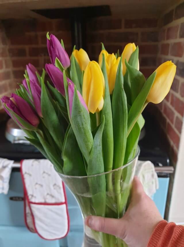 bunch of mixed tulips
