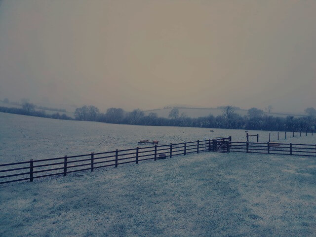 snowy field
