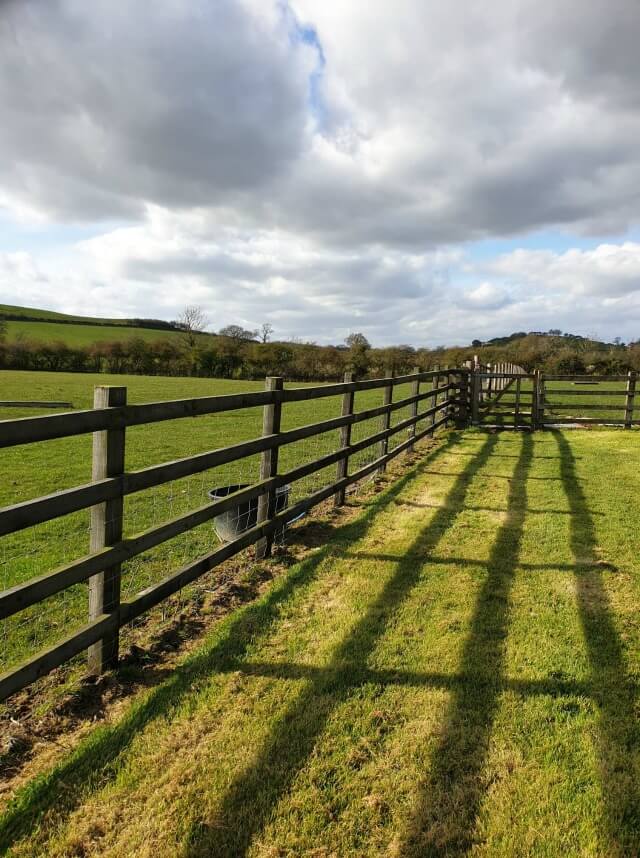 fence shadow stripes on lawn