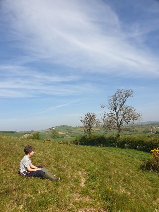 relaxing on a dog walk