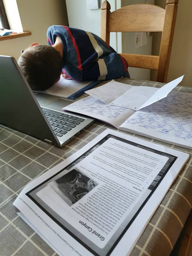 FOMO in not going back to school and still home schooling at kitchen table