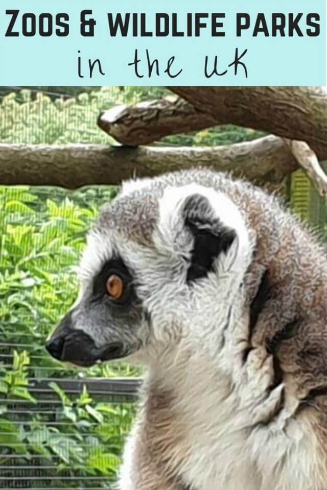 UK zoos and wildlife parks