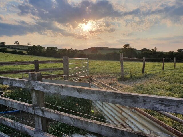 leading lines of farm gates and fields under a sunset