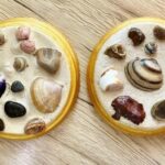plaster of paris sea and beach finds