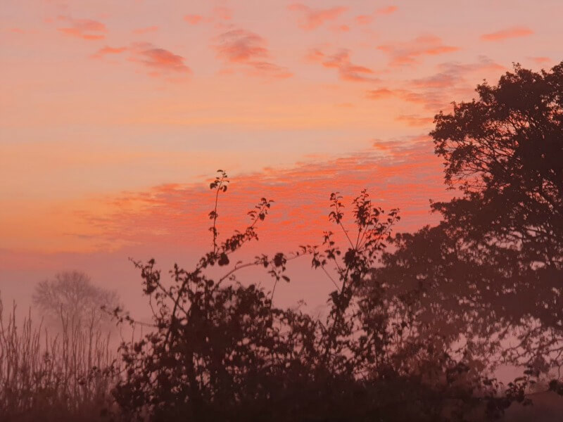 sunrise on a foggy autumn morning