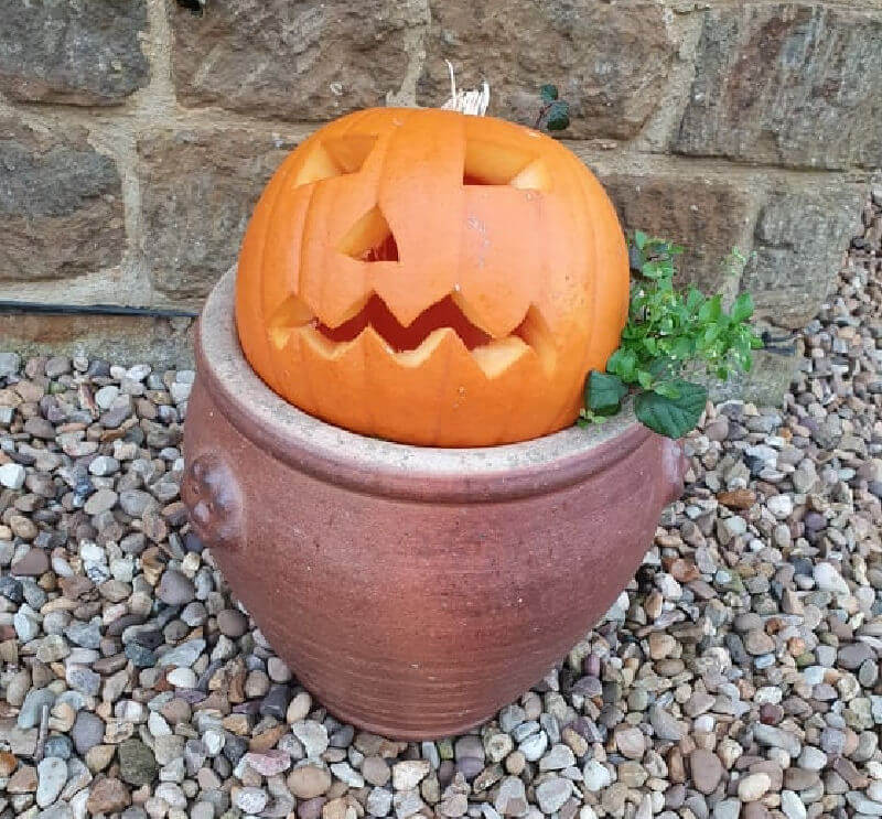 carved halloween pumpkin