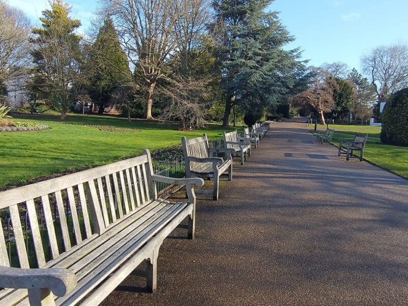 park benches lined up along a path