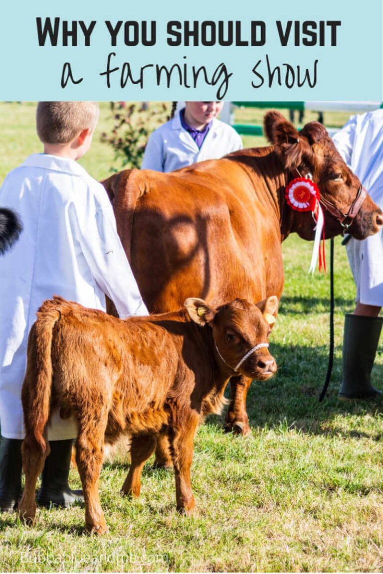 why you should visit a farming show