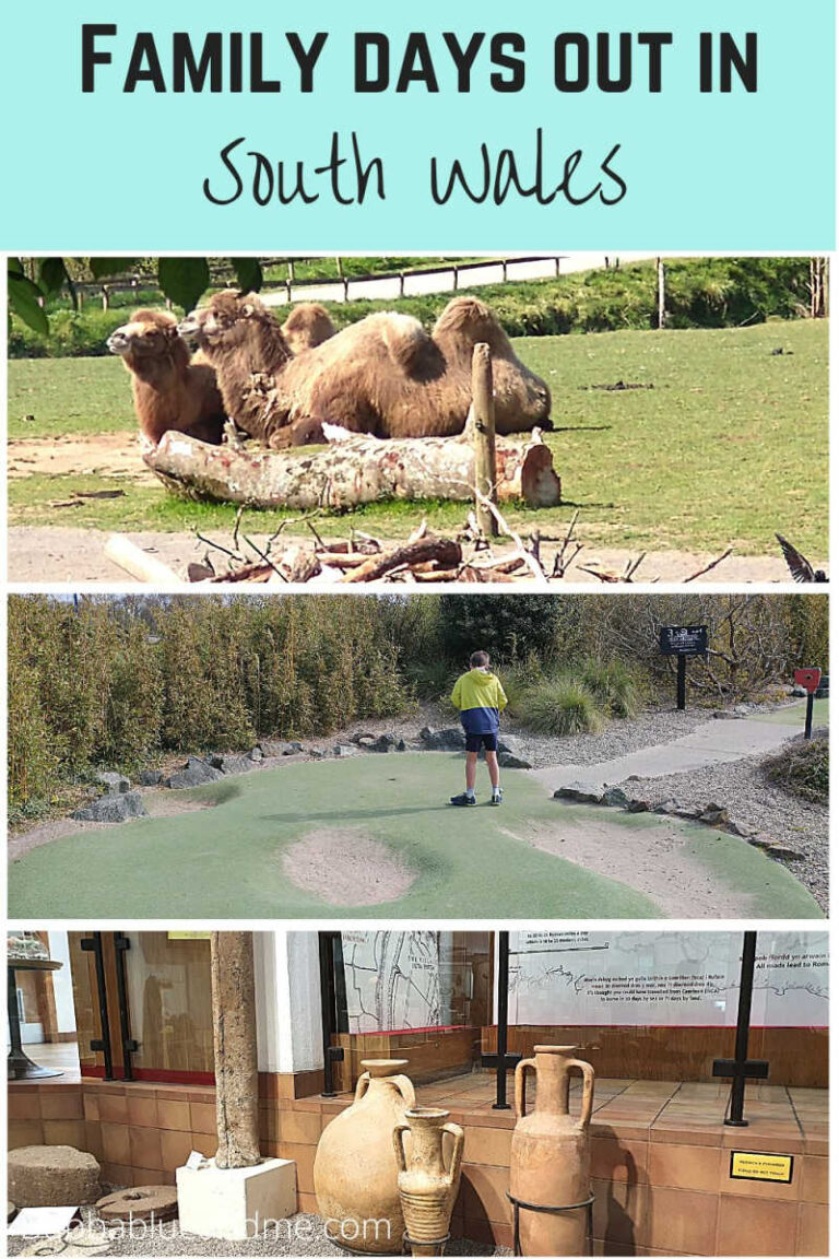 family days out in south wales