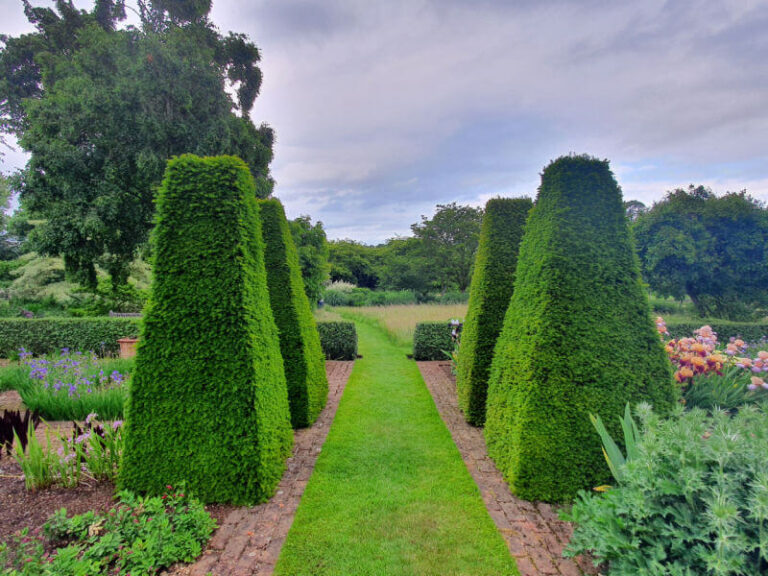pettifers yew designs and views down the garden