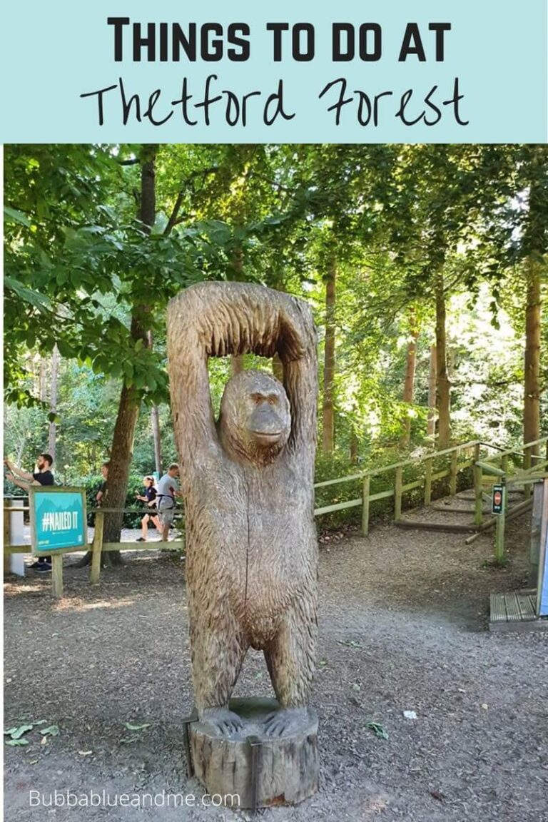 things to do at thetford forest