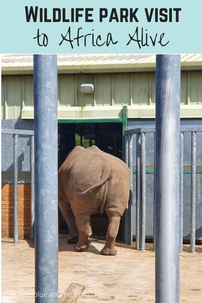 wildlife park visit to africa alive