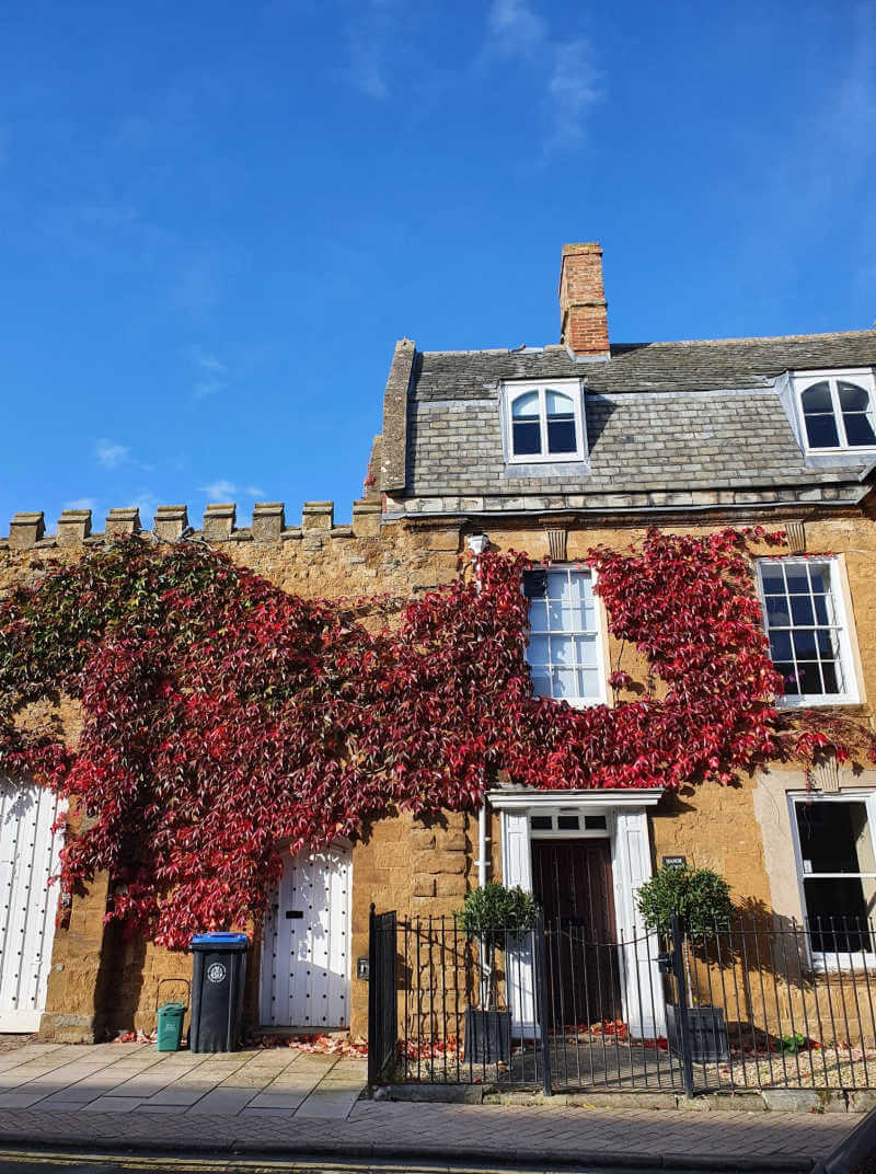 house with virginia creeper over it