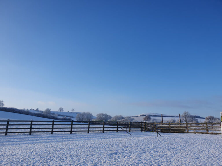 snowy garden with fence and hill behind