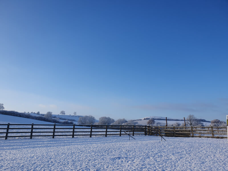 snowy garden with fence and hill behind