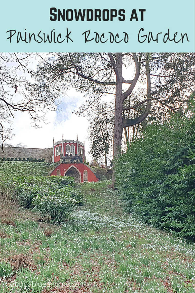Snowdrops at Painswick Rococo gardens