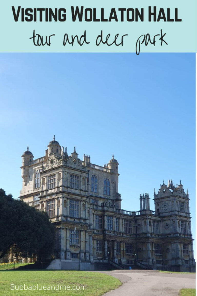Wollaton hall tour and deer park visit