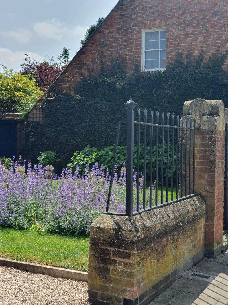 lavendar in townhouse garden