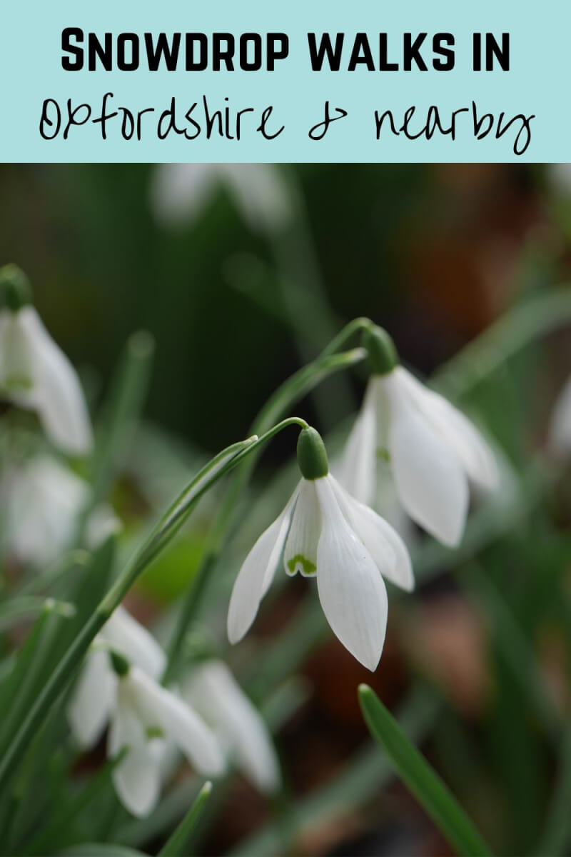 snowdrop walks in oxfordshire and nearby