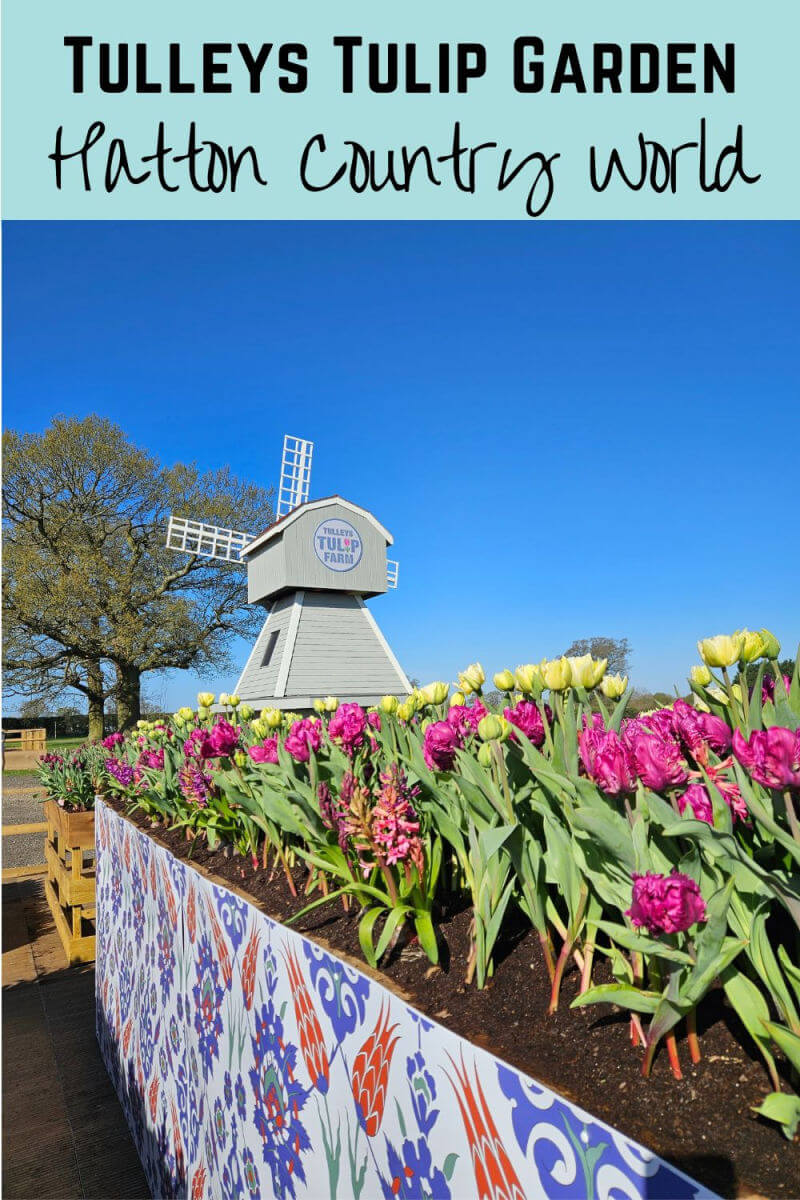 tulleys tulip gardens